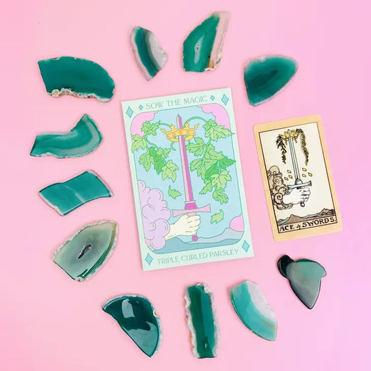 Tarot Seed Pack | Triple Curled Parsley