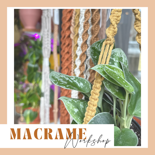 Macrame Workshop | March 23