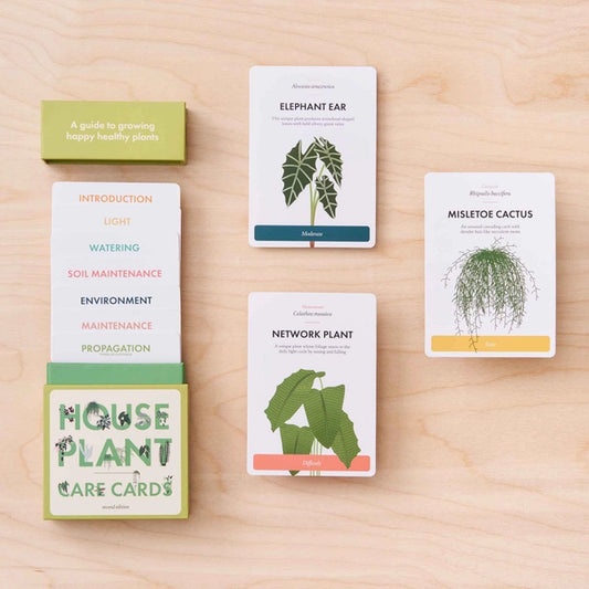 Houseplant Care Cards
